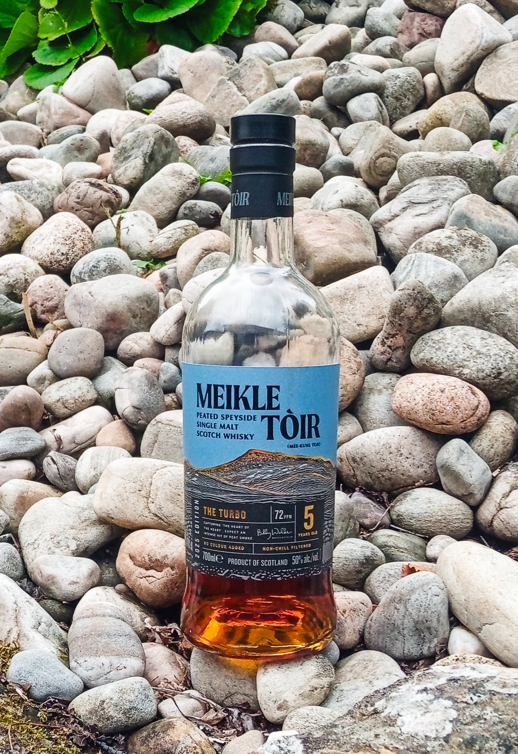 Meikle Tòir 5yo The Turbo — Dramface